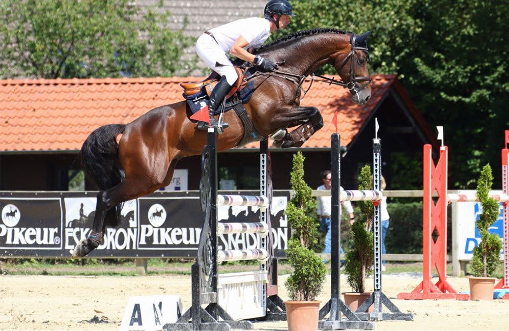 Zinedream Jumping